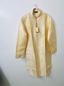Elegant Gold Embroidered Kurta Set