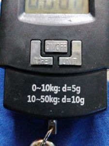 50Kgs Digital Luggage Weighing Scale - Black