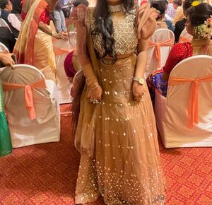 Mirror Work Beautiful Lehenga