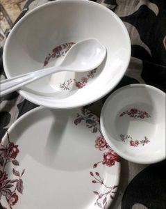 Dinner Set 20 Pc Stylon Brand