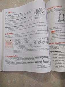 All In One Science Class 7