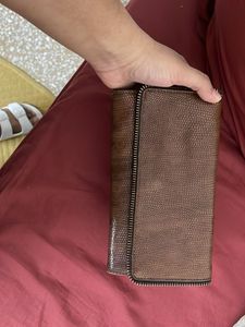 Baggit Stylish Brown Wallet