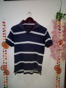 Indian Terrain Brad Tshirt