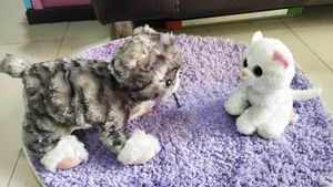 Combo Of IKEA Soft Cat And Kitten