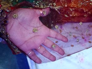 Embroidered Saare