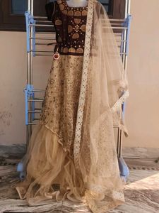 Elegant Embellished Lehenga Choli Set