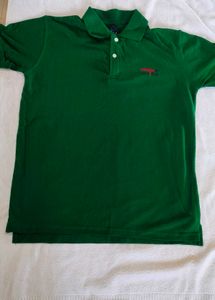 Green Polo Shirt for men