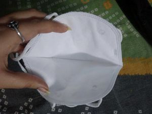 N95 Masks