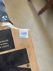 Original Kashmir Willow