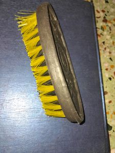 Brush