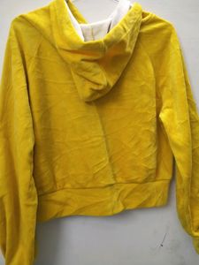 Cropped Top Hoodie