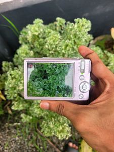 BENQ DC-E1230 Digital Camera