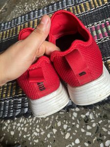 Original Branded Puma Shoes