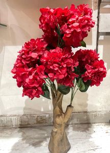 Red Plant