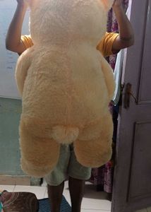 Teddy Bear For Sale