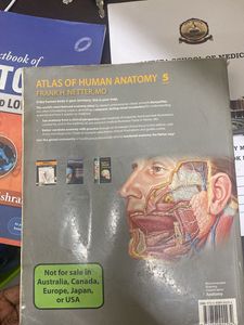 Netters Atlas For Visualisation Of Anatomy