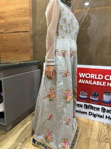 Wedding/Festive Silver Gown With Net Sleeves