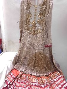 Elegant Ethnic Gown Size 26