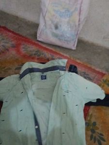 Stylish Light Green Shirt
