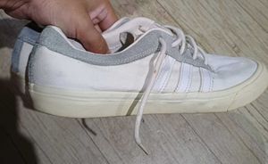 Adidas Sneakers