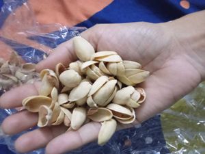 100 Pices Pistachio Chilke