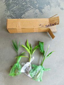 Ready For Shipping