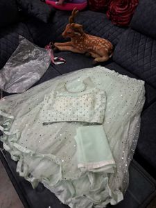 Sparkling Lehenga Choli Set Pista Green