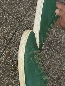 Dark Green Sneakers