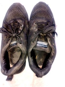 Campus Sneakers Shoes For Men