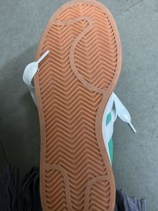 Campus - Adidas(Original)