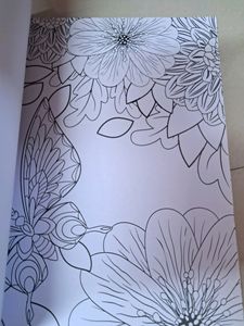 Summer Activity