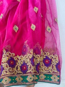 Pink Embroidered Lehenga Choli