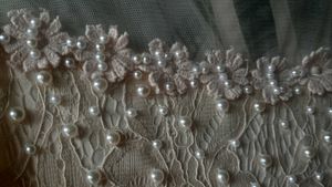 Gorgeous Beige lace and beadwork dress
