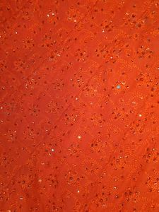 elegant lehnga choli