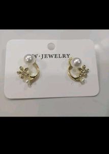 Beautiful Western Earing
