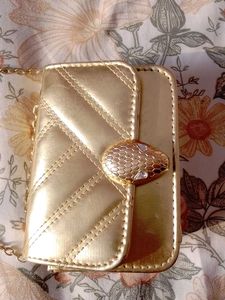 Gold Chain Clutch