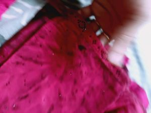 red pink. shaded chinnon crepe saree