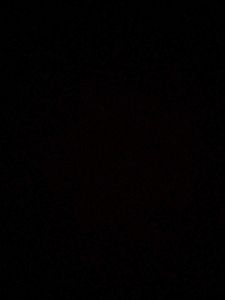 Leopard Print Lounge Pants