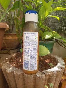Nivea Fresh Blends Shower Gel