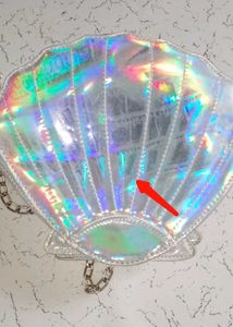 Iridescent Seashell Purse