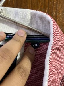 T Shirt Polo Stripes