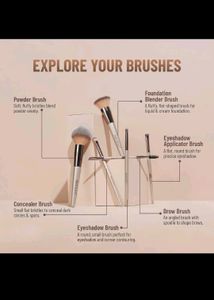Swiss Beauty Professional Makeup Brush Set