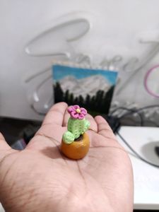 Mini Cactus Plant