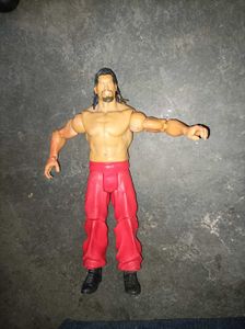 Wrestler