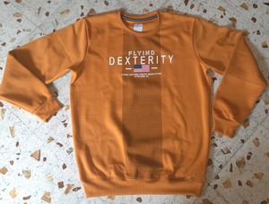 Men Winter Sweatshirt Branded Unused More Availabl