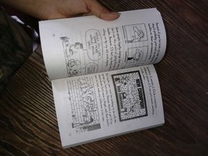 Diary Of A Wimpy Kid - 18th Part