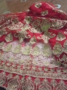 Red & Gold Embellished Fabric