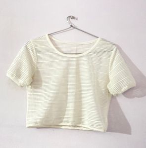 Sheer Striped Crop Top