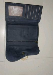 Cyan baggit Clutch