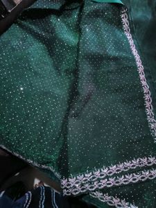 New Jimmy Choo Saree